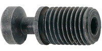 Vis de serrage pour porte-outils ISO 95° PWLNR/L